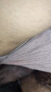 用鸡巴磨人妻的内裤寻苏州附近的少妇阿姨包满意